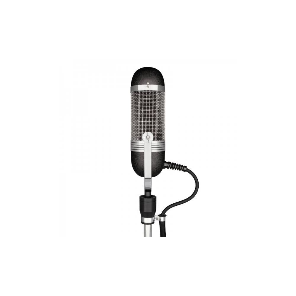 Amazon.com: AEA R84A Ribbon Microphone : Musical Instruments